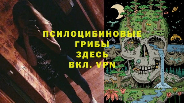 ПСИЛОЦИБИНОВЫЕ ГРИБЫ Костерёво