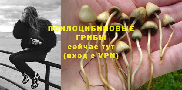 скорость Корсаков