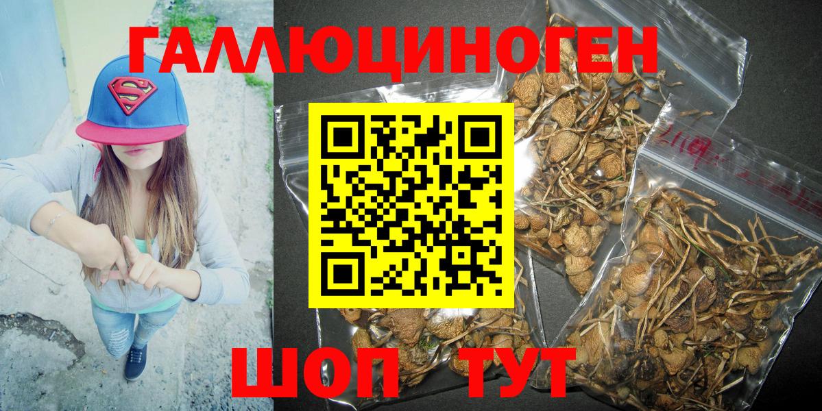 Павлово  Псилоцибиновые грибы MAGIC MUSHROOMS  Вход с VPN 